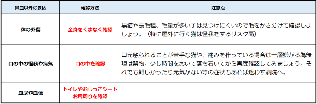 実体験 猫が鼻血を出した 鼻血の原因と病院に行くべき理由 まいにちささかま